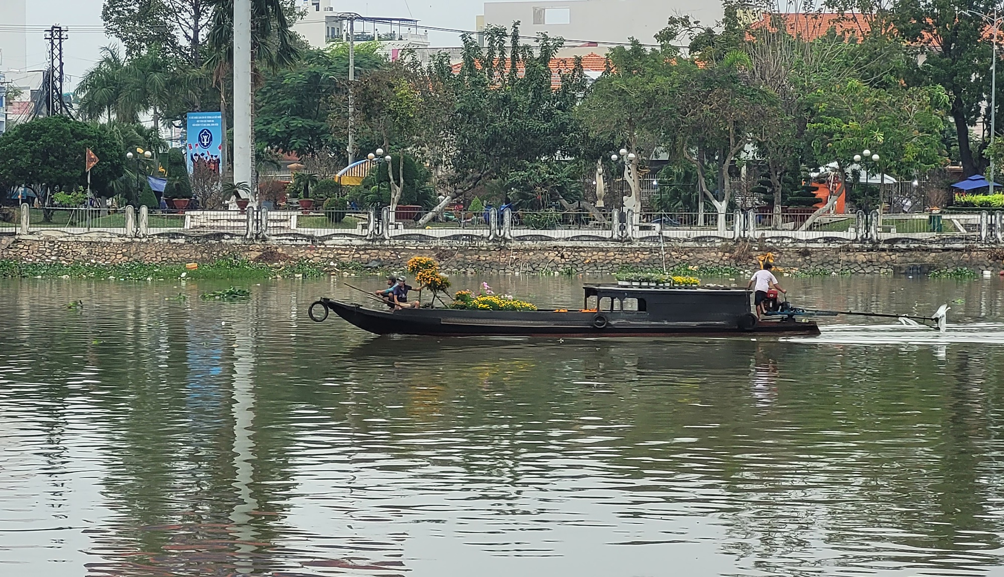 Lão mai khổng lồ có giá 6,8 tỉ đồng ở miền Tây - Ảnh 23.