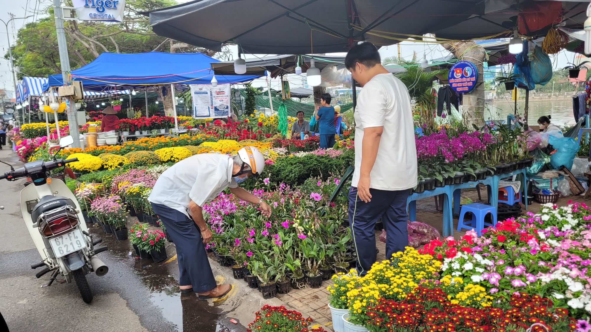 Lão mai khổng lồ có giá 6,8 tỉ đồng ở miền Tây - Ảnh 14.