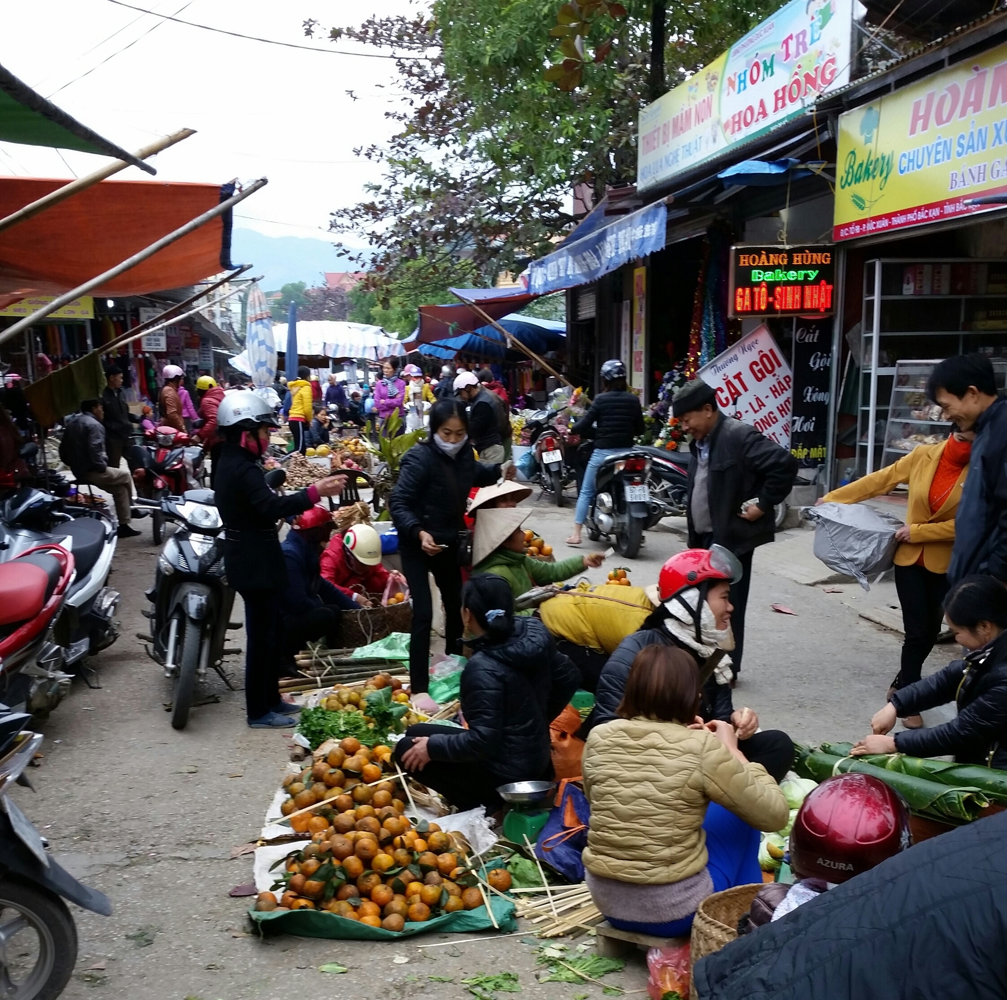 Khám phá Việt Nam với tiến sĩ người Úc - Ảnh 11.