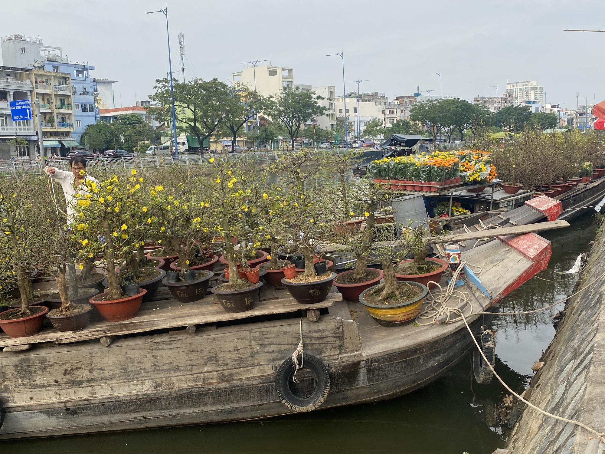 Ghe chở hoa kiểng Tết cập Bến Bình Đông nhiều chưa từng thấy - Ảnh 15.