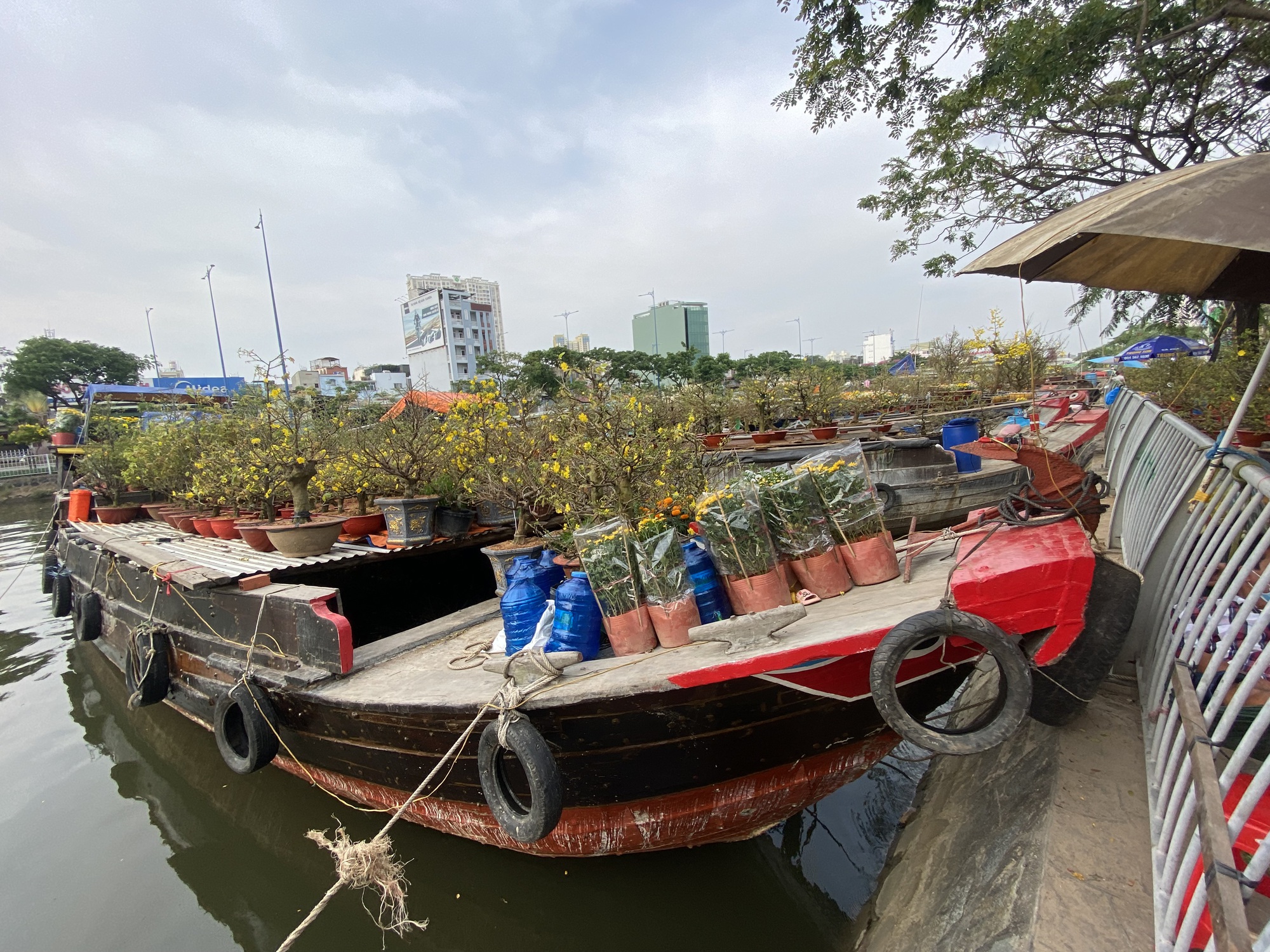 Ghe chở hoa kiểng Tết cập Bến Bình Đông nhiều chưa từng thấy - Ảnh 17.