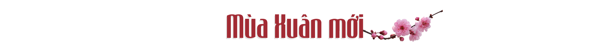Đón xuân cùng tộc người ngủ ngồi - Ảnh 5.