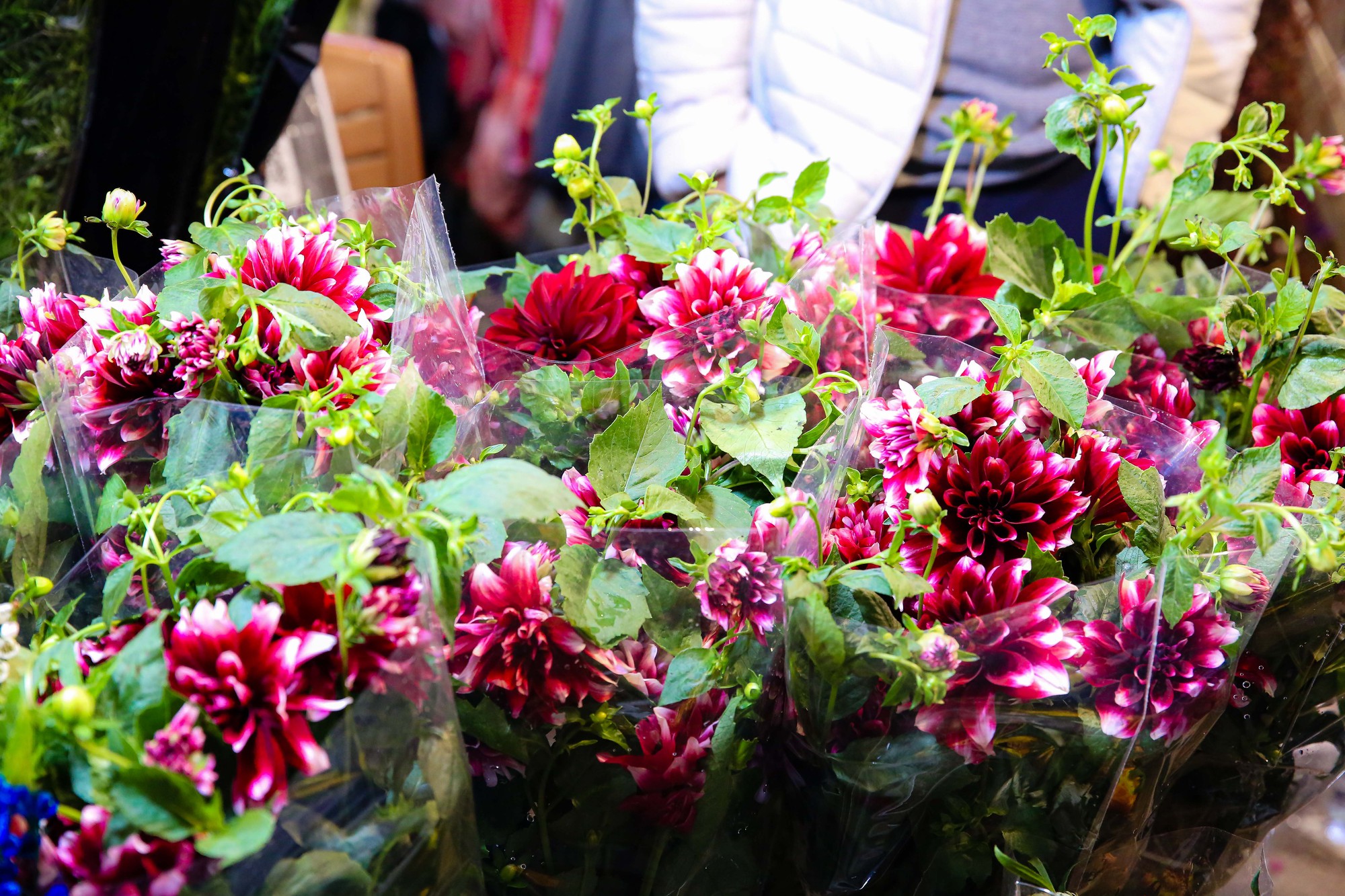 Khung cảnh tấp nập tại chợ hoa Quảng An ngày cận Tết - Ảnh 5.