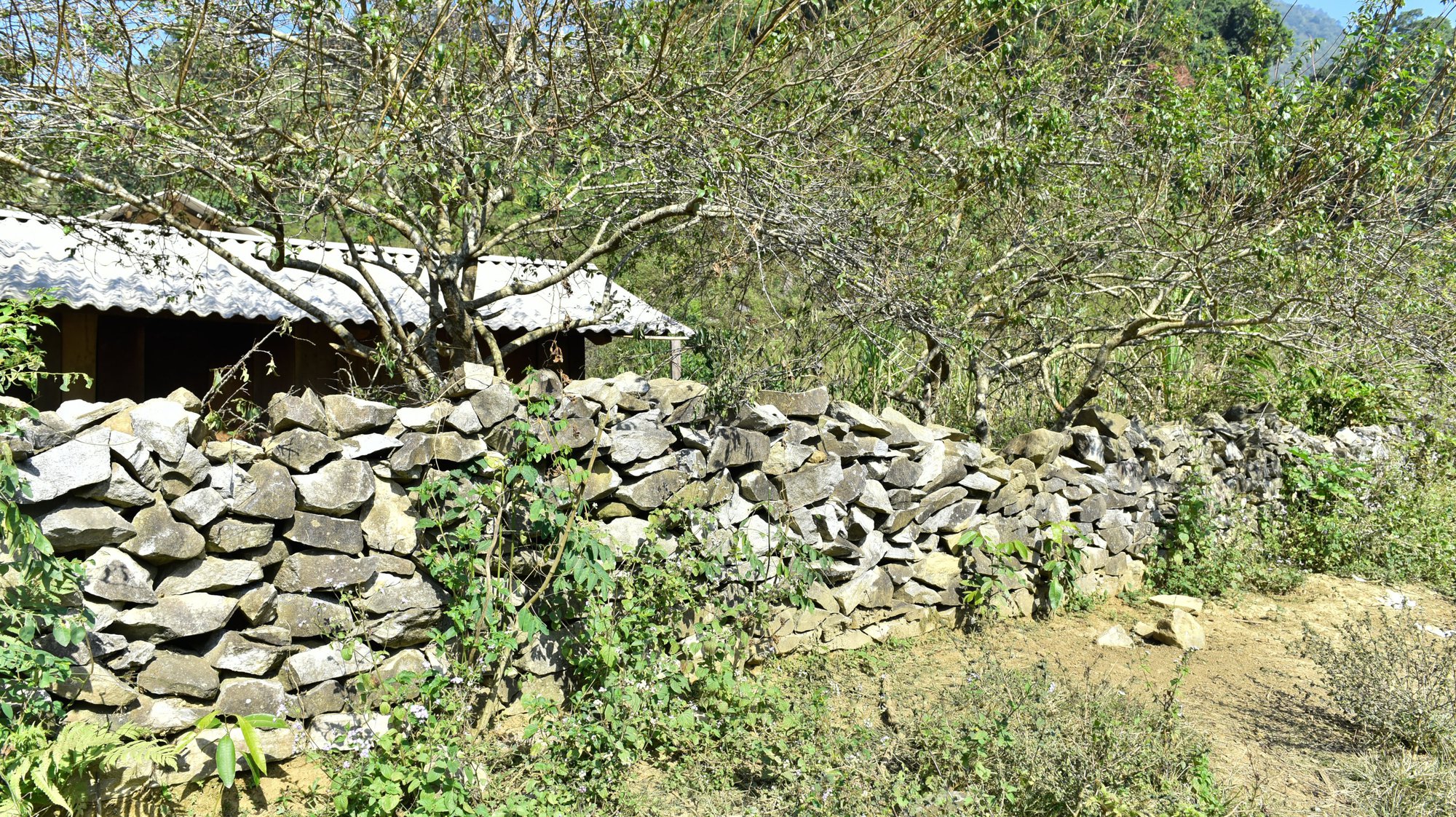 Độc đáo những tường thành đá trên đỉnh Sài Khao - Ảnh 8.