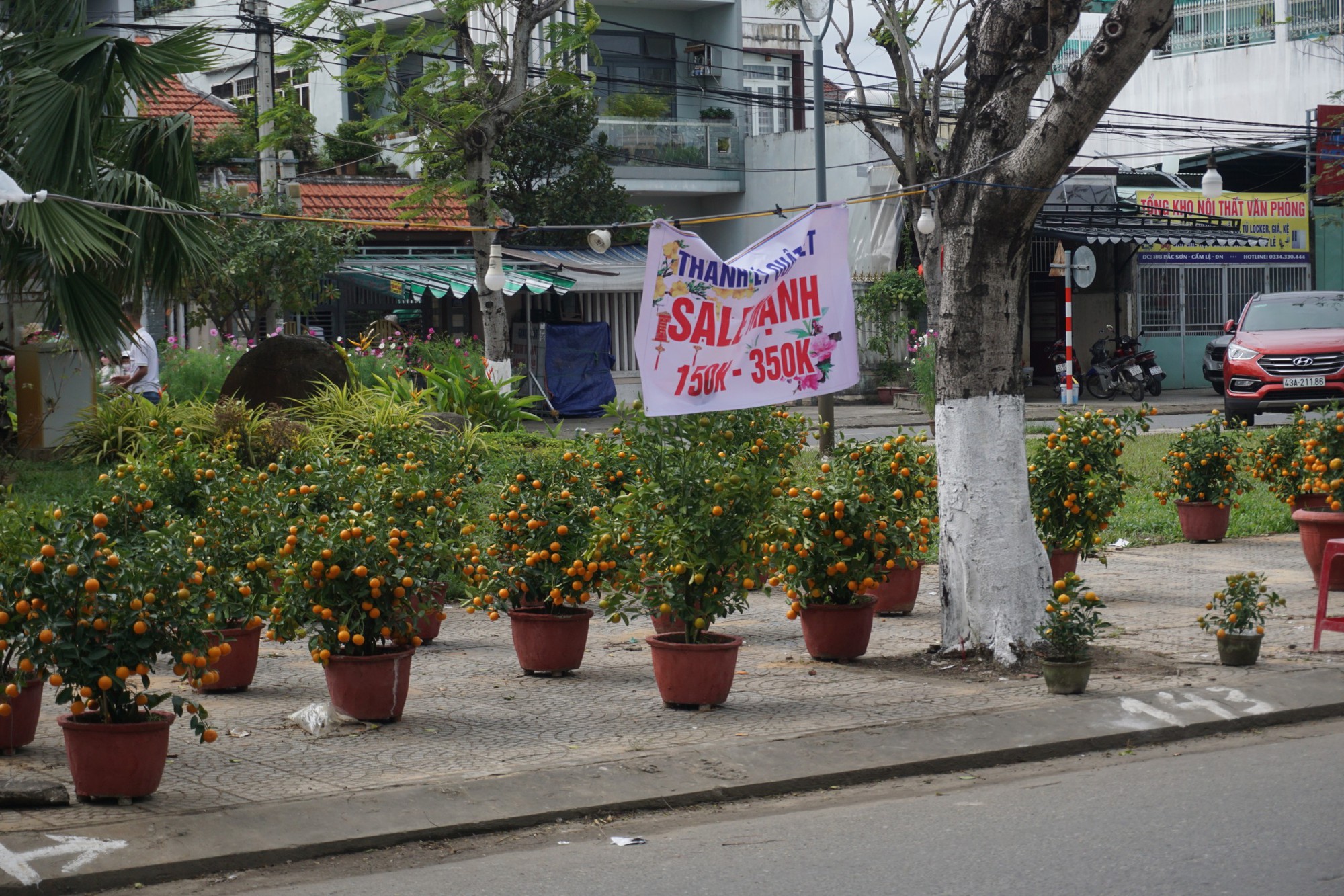 Hoa Tết Đà Nẵng: Hạ giá, sale sập sàn vẫn vắng người mua - Ảnh 5.