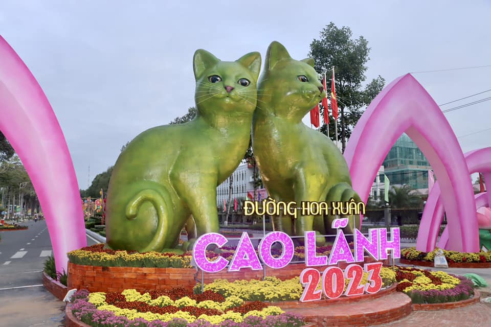 Độc đáo mèo ốp lá sen ở Đồng Tháp, mèo rô-bốt tại Phú Quốc - Ảnh 1.