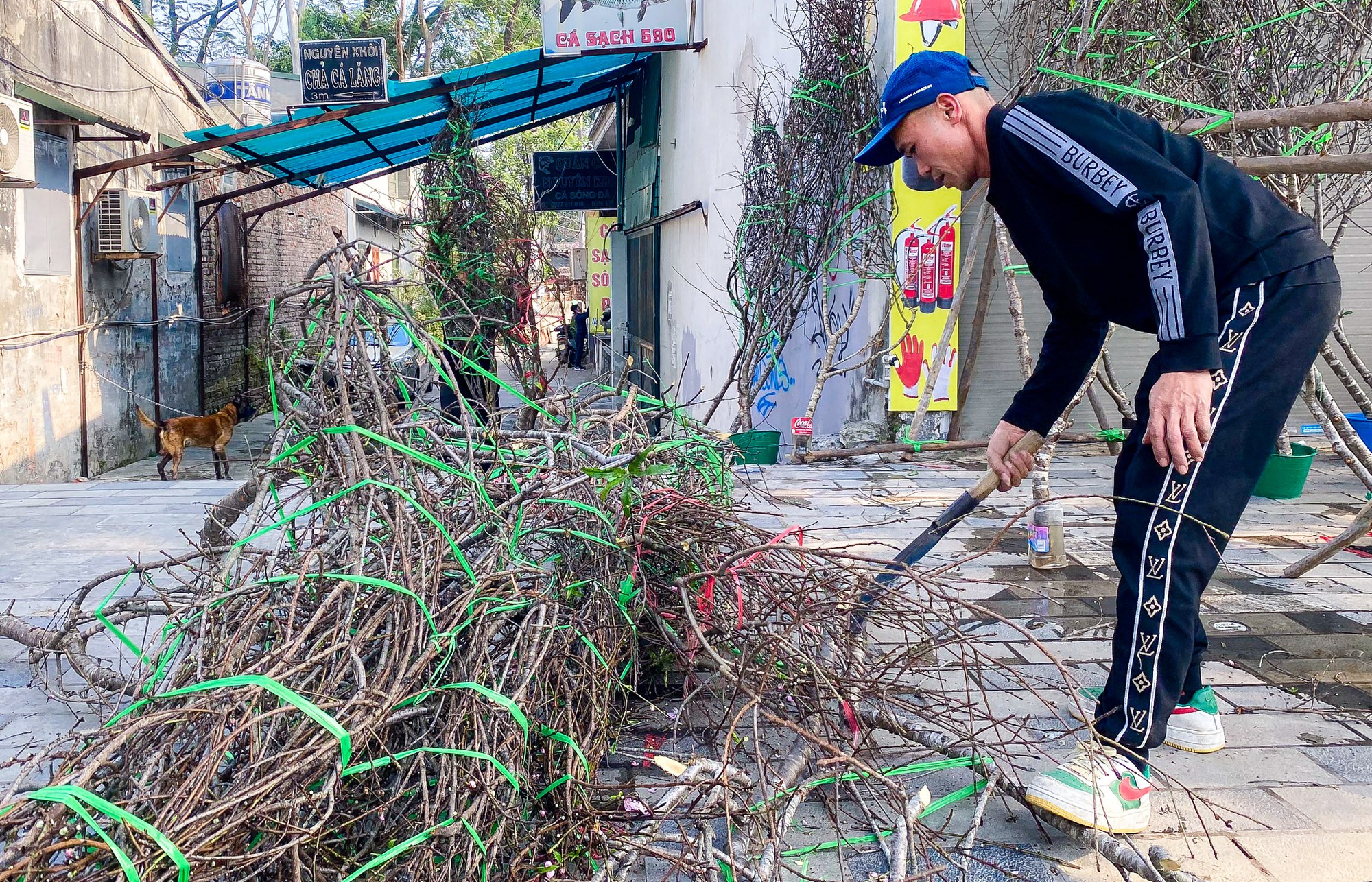 30 Tết, tiểu thương quyết chặt bỏ đào chứ không bán rẻ - Ảnh 5.