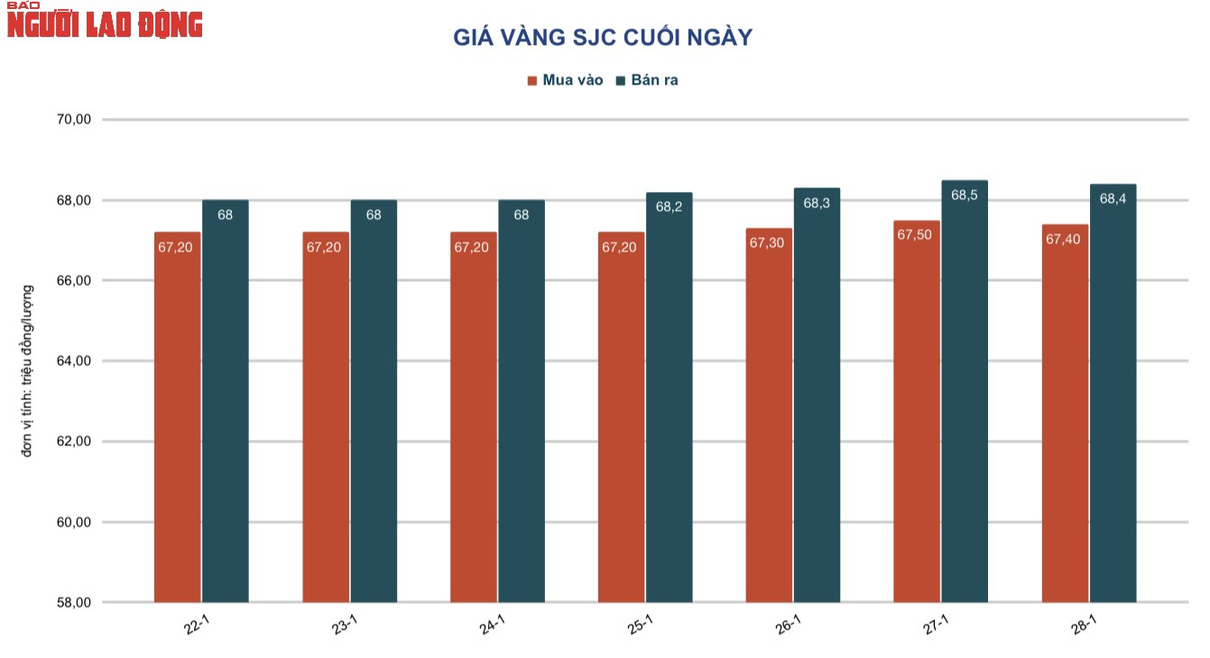 Giá vàng hôm nay 29-1: Vàng SJC, vàng trang sức vẫn cao ngất - Ảnh 2.