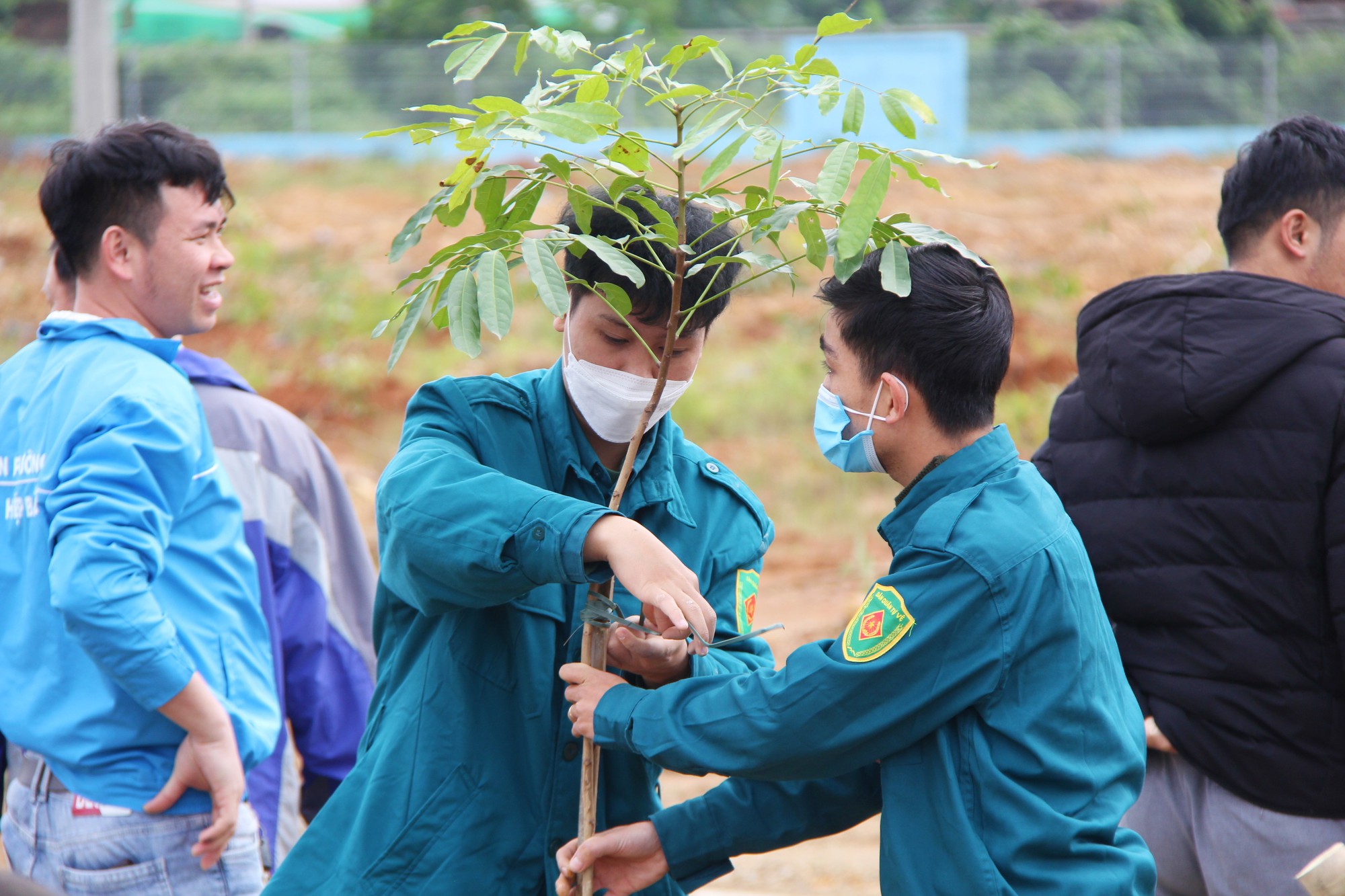 Thêm mảng xanh cho Khu công nghệ cao thành phố Đà Nẵng  - Ảnh 8.