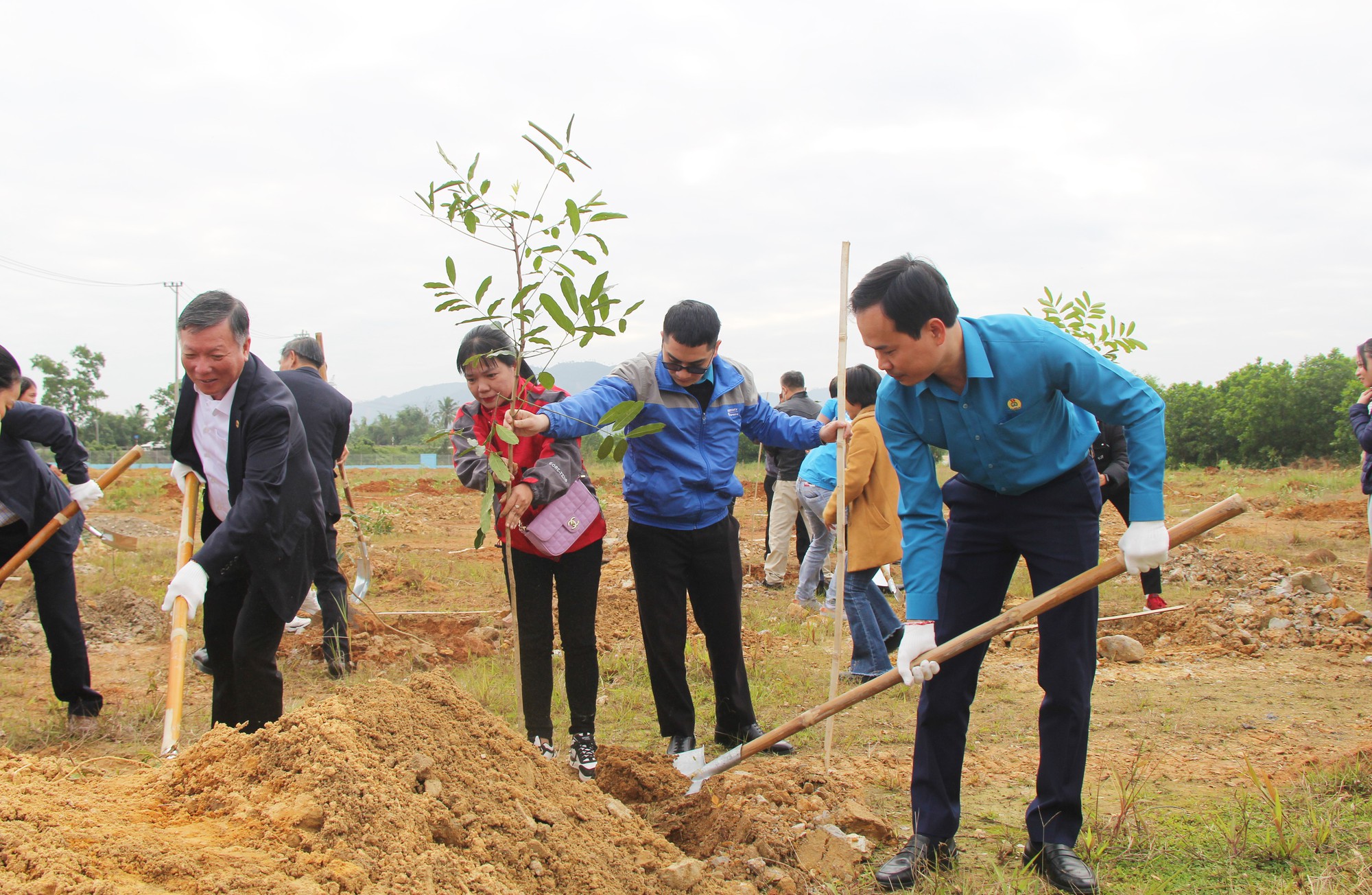 Thêm mảng xanh cho Khu công nghệ cao thành phố Đà Nẵng  - Ảnh 2.