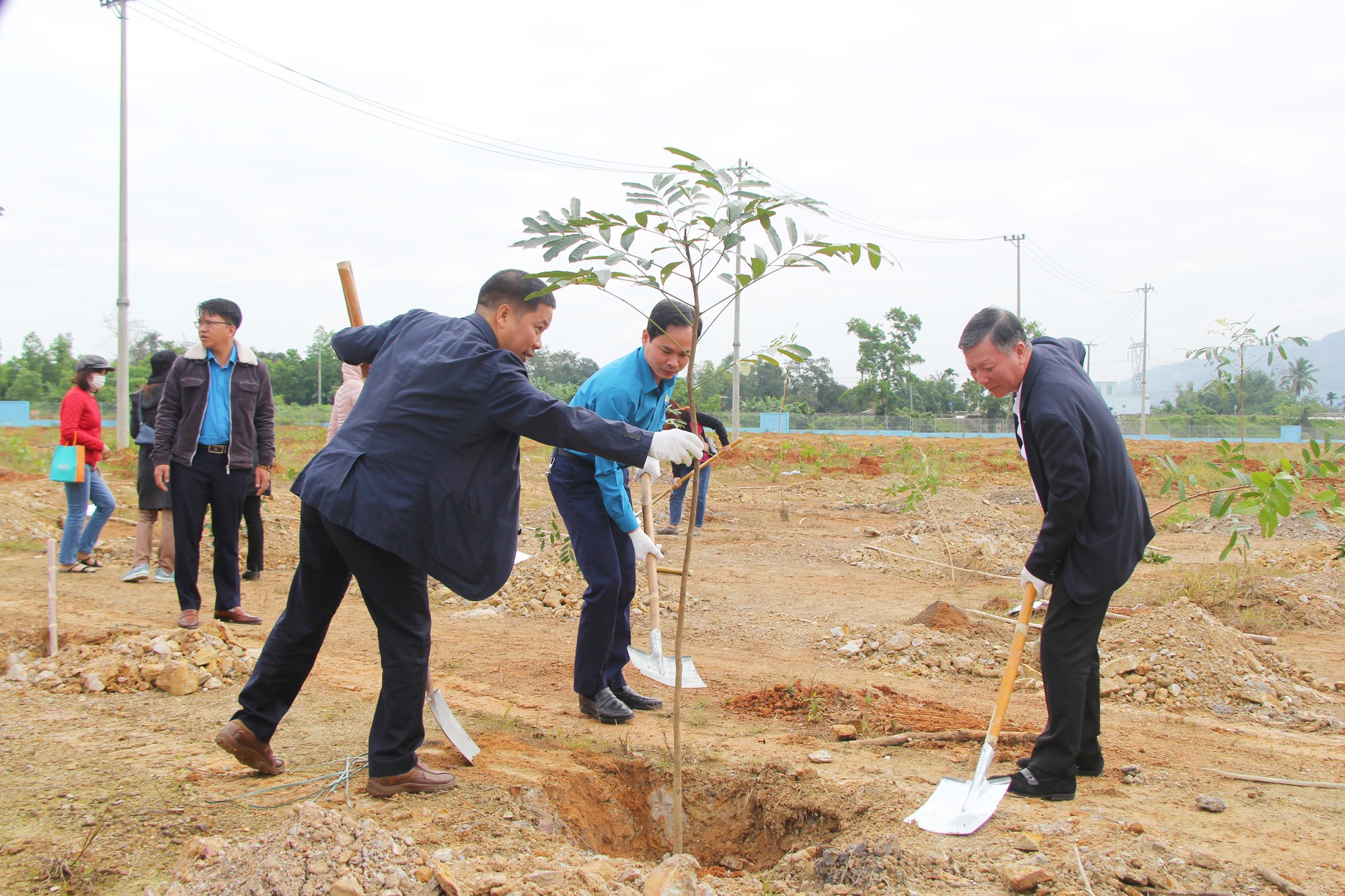 Thêm mảng xanh cho Khu công nghệ cao thành phố Đà Nẵng  - Ảnh 3.