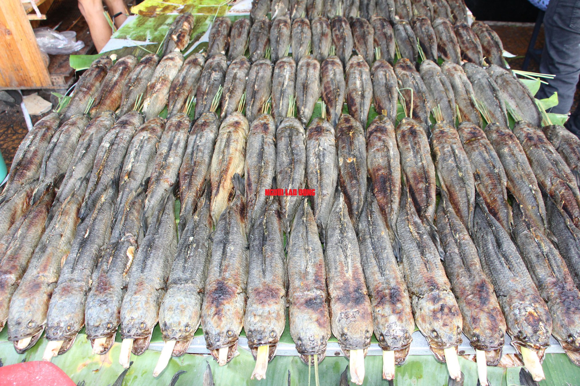 CHÙM ẢNH: Cách nướng 1.000 con cá lóc ngày vía Thần Tài ở miền Tây - Ảnh 13.