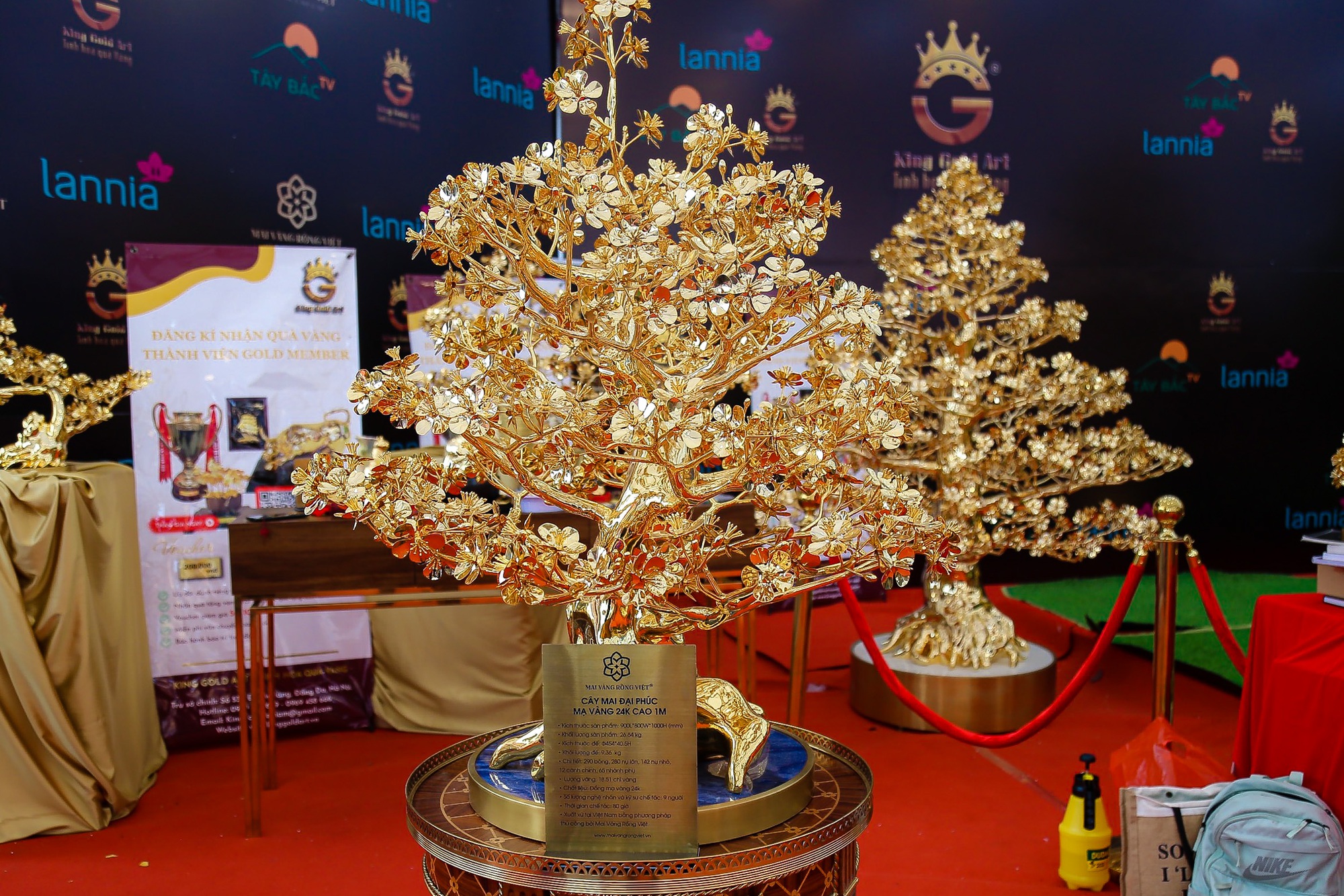 Cận cảnh cây mai mạ vàng lớn nhất Việt Nam được chào giá gần 6 tỉ đồng - Ảnh 11.