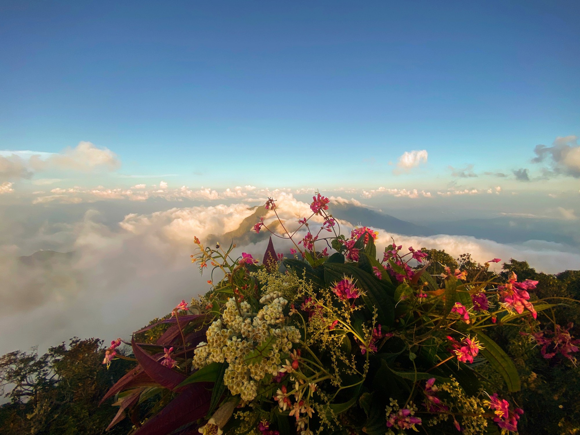 Clouds rolling over Tay Con Linh peak