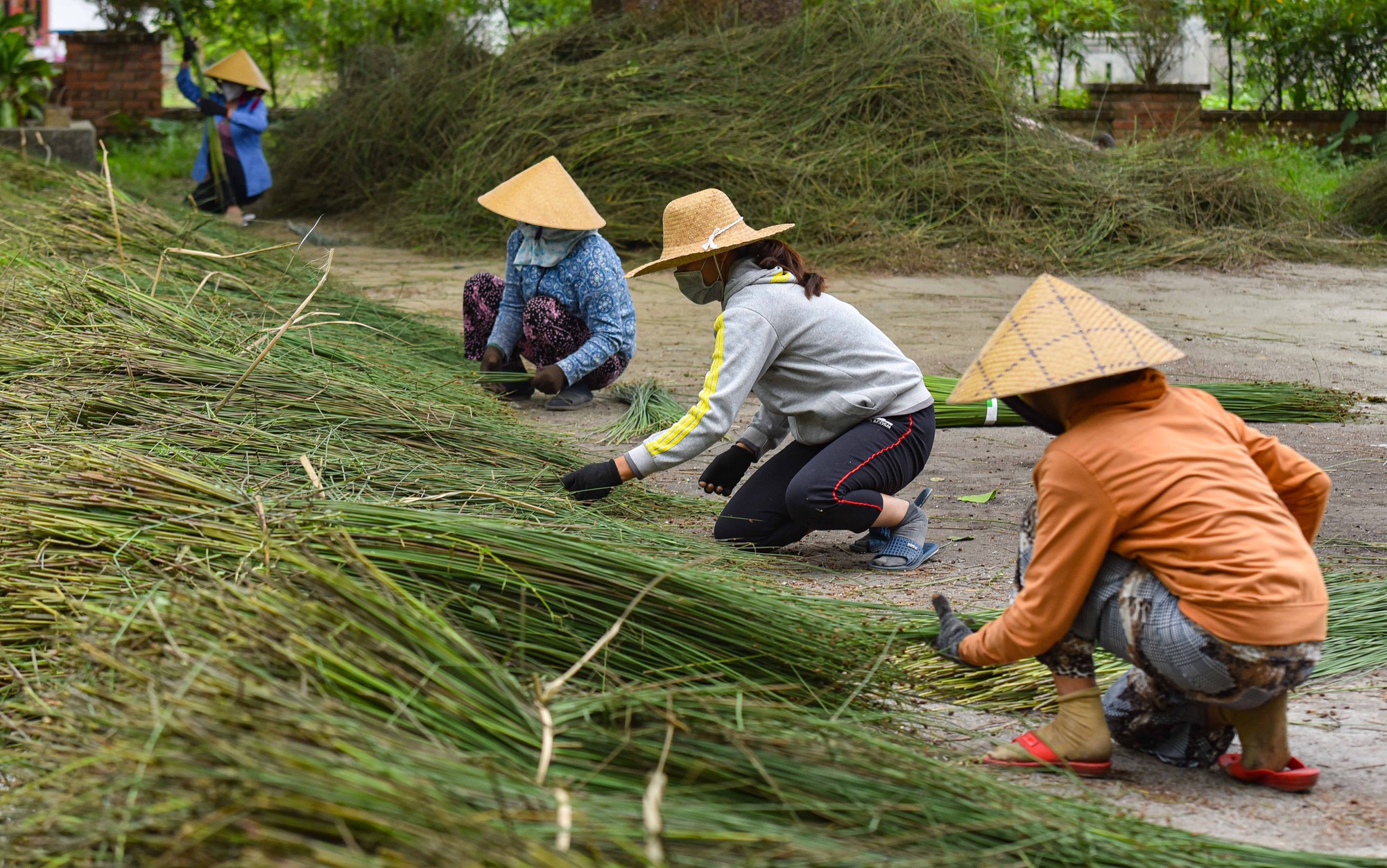 Về Phò Trạch xem người dân biến cỏ thành sản phẩm du lịch - Ảnh 3.