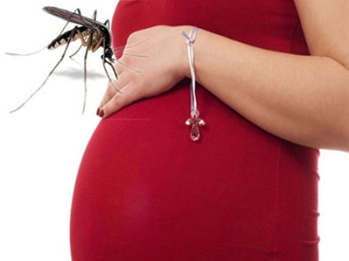 Đang mang thai mà mắc sốt xuất huyết, cần lưu ý gì?