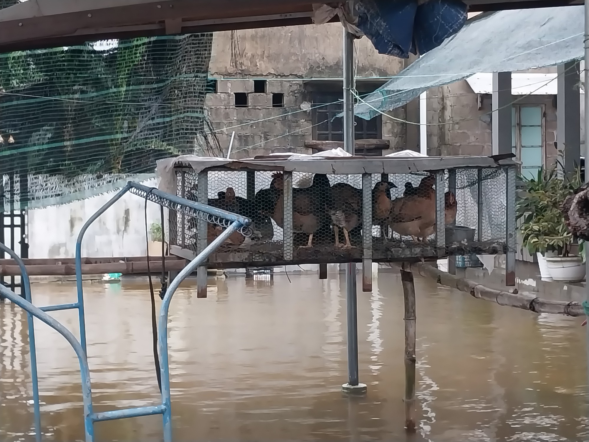 Cận cảnh ngập lụt ở hạ du Thủy điện Hương Điền - Ảnh 17.