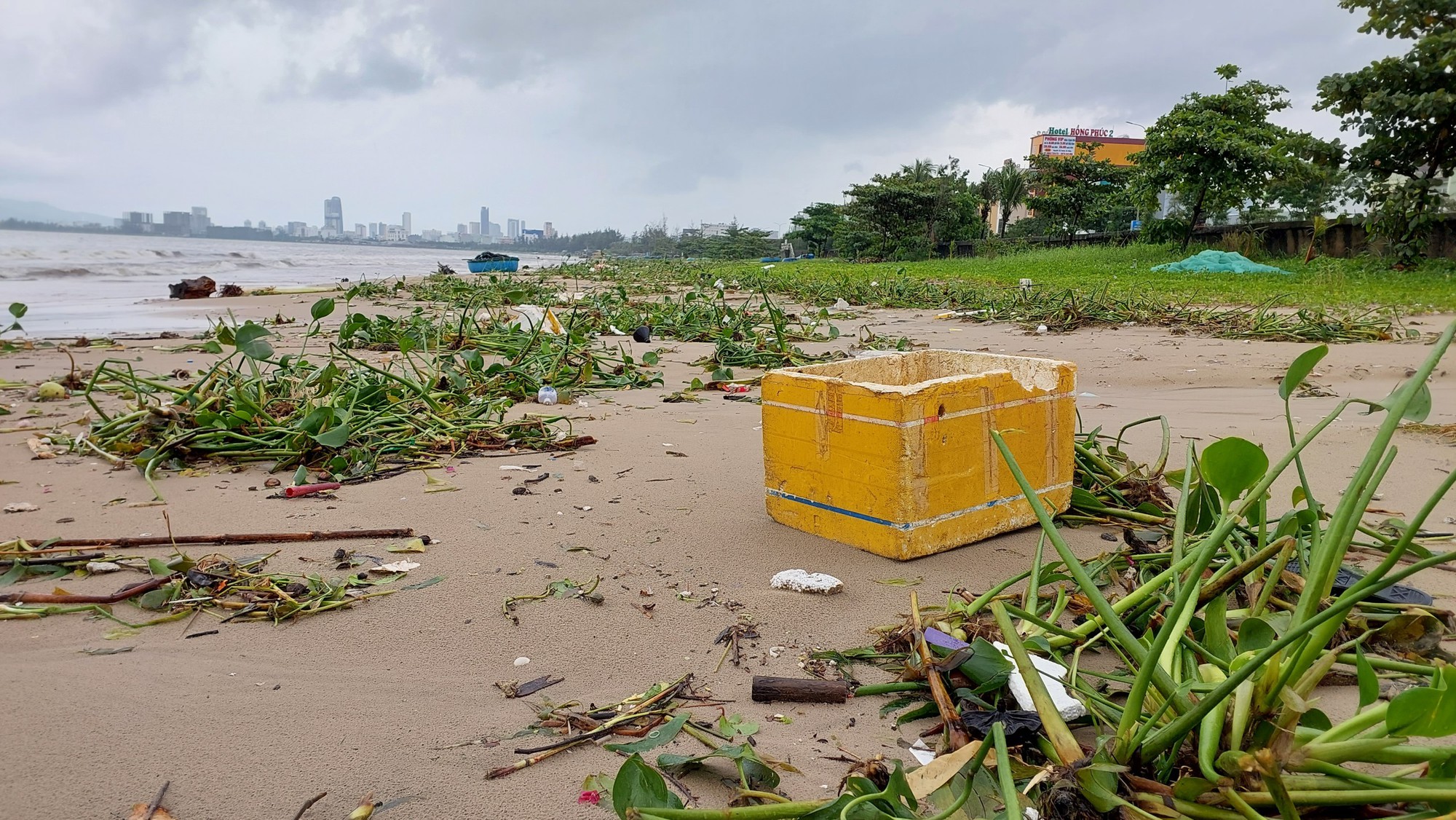 Hơn 3.000 người dọn hàng tấn rác tại vịnh Đà Nẵng - Ảnh 3.