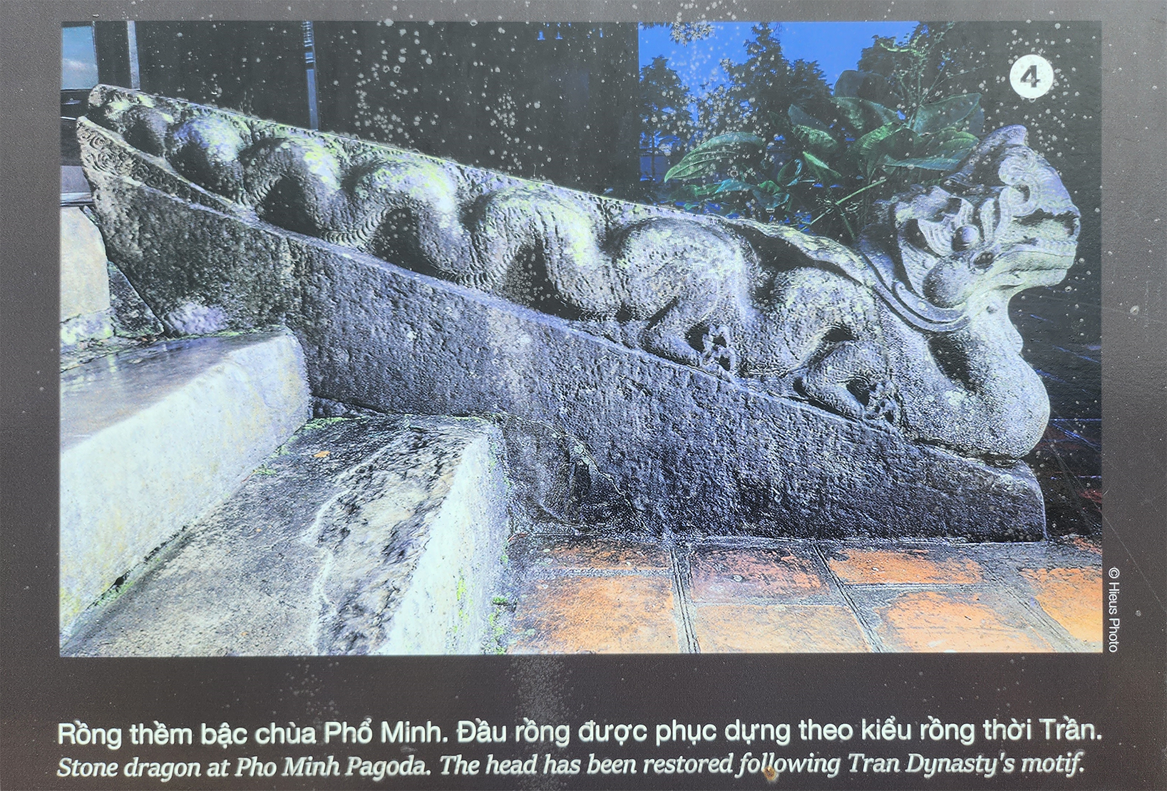 Bí ẩn đôi rồng đá không đầu ở Thành nhà Hồ- Ảnh 3.