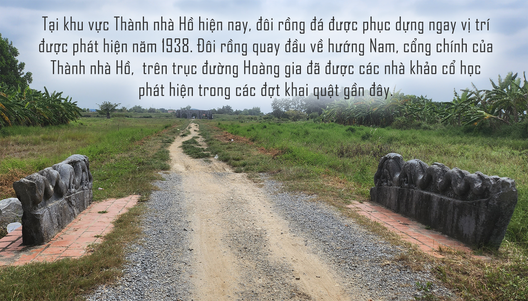 Bí ẩn đôi rồng đá không đầu ở Thành nhà Hồ- Ảnh 8.