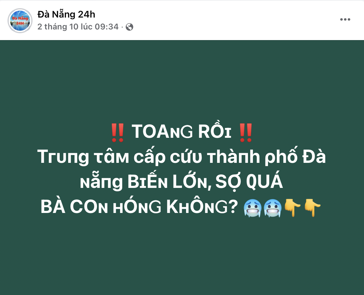 Đề nghị xử lý trang Facebook đăng tin sai về Trung tâm cấp cứu TP Đà Nẵng - Ảnh 2.