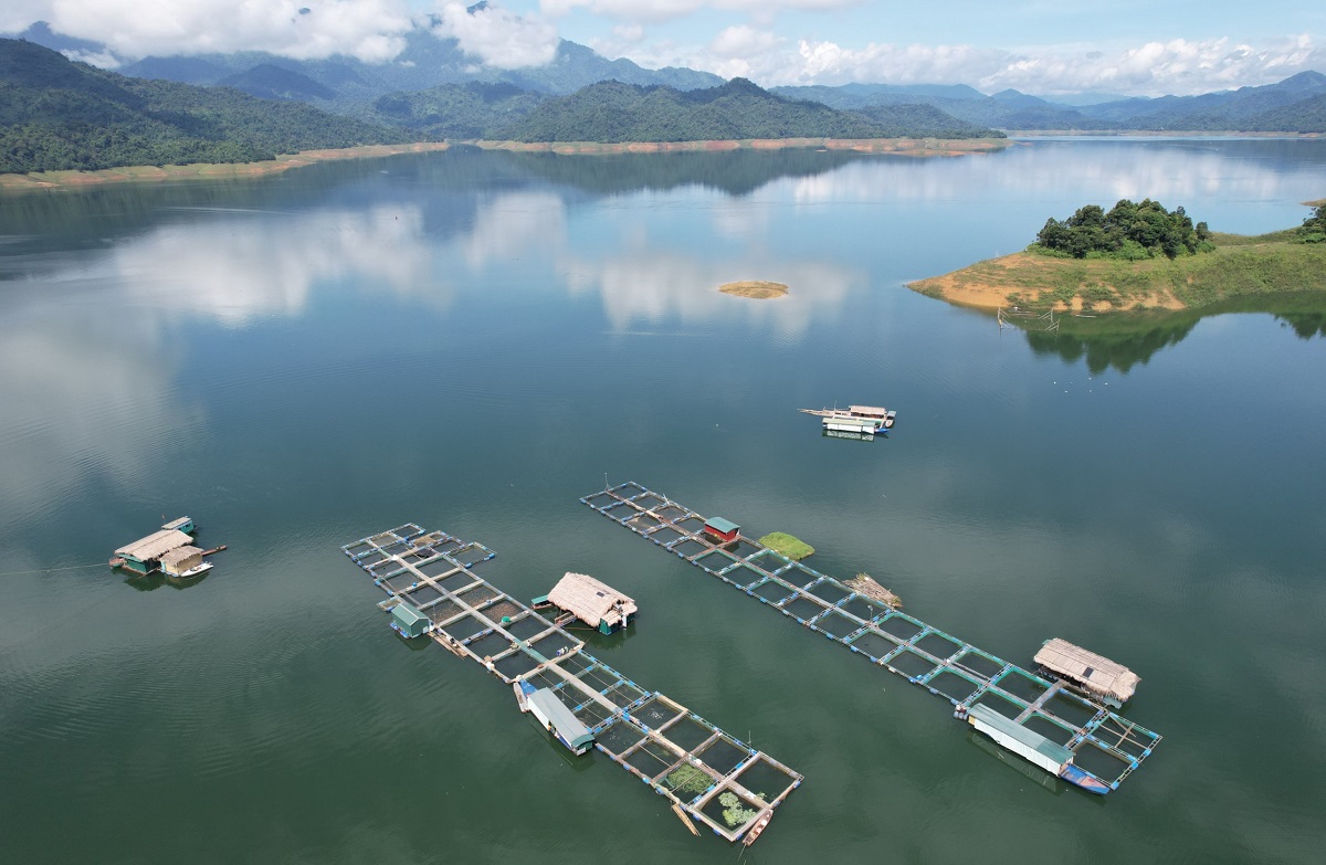 Ngắm khu nuôi cá đặc sản trên hồ nước ngọt lớn nhất Thanh Hóa - Ảnh 12.