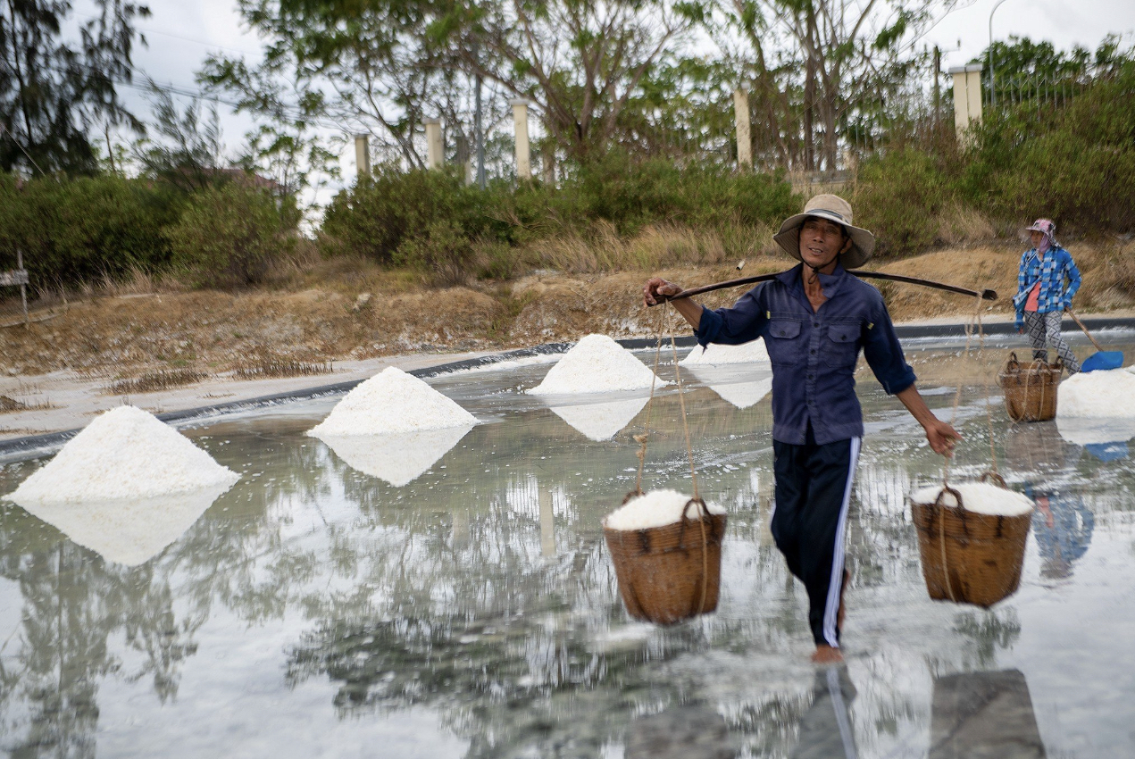 Để du lịch Cần Giờ phát triển bền vững - Ảnh 1. Để du lịch Cần Giờ phát triển bền vững - Ảnh 1.