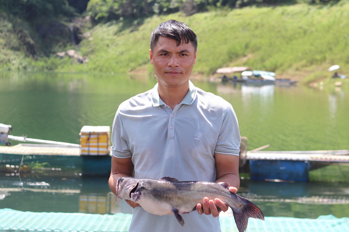 Ngắm khu nuôi cá đặc sản trên hồ nước ngọt lớn nhất Thanh Hóa - Ảnh 8.