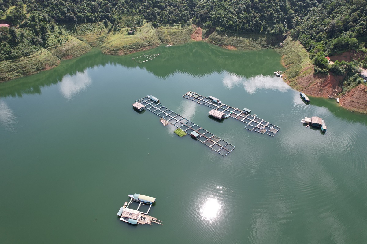 Ngắm khu nuôi cá đặc sản trên hồ nước ngọt lớn nhất Thanh Hóa - Ảnh 13.
