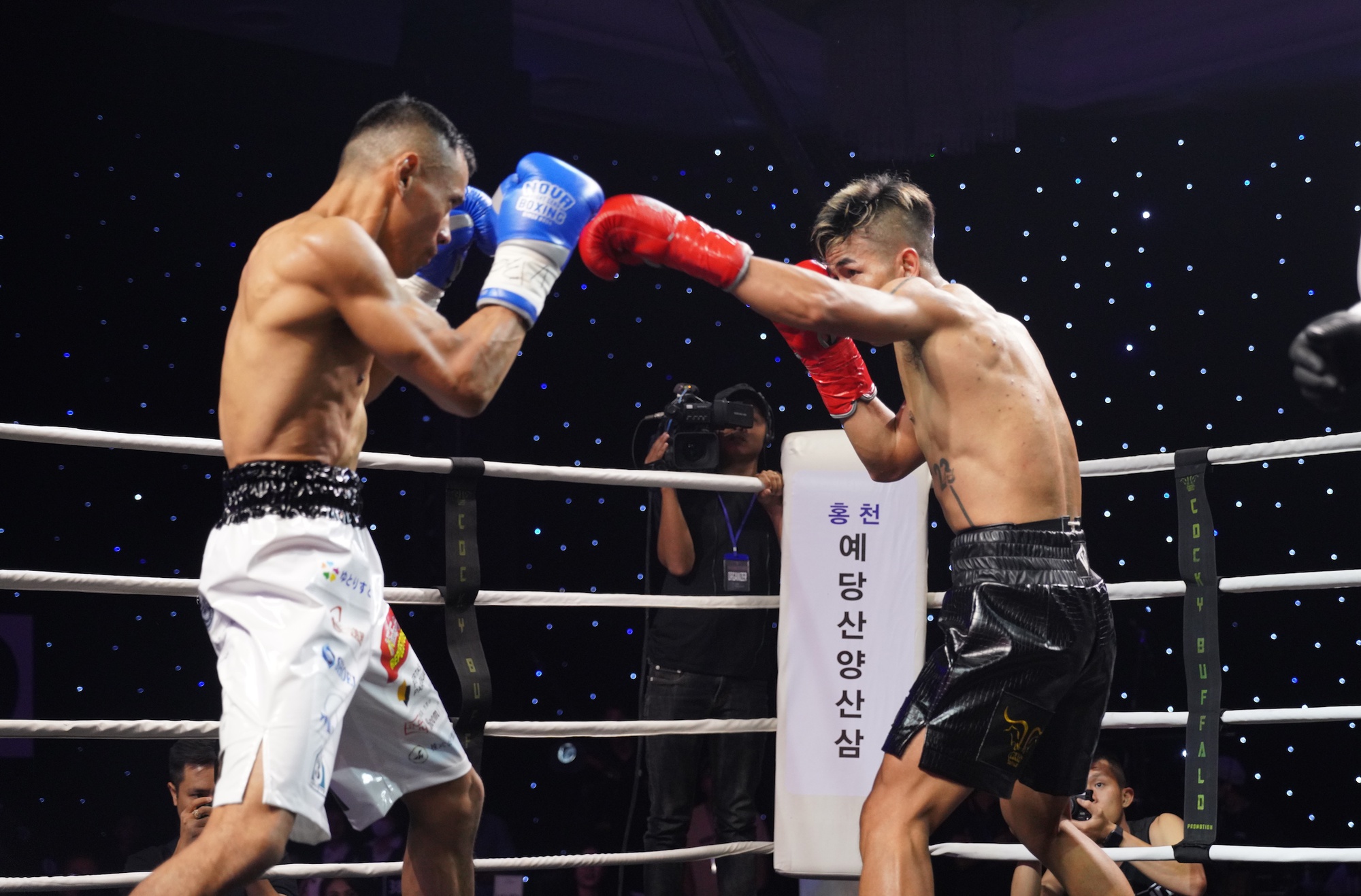 Mưa knock-out WBO Global Title Match, Trần Văn Thảo thắng kịch tính võ sĩ người Mexico - Ảnh 2.