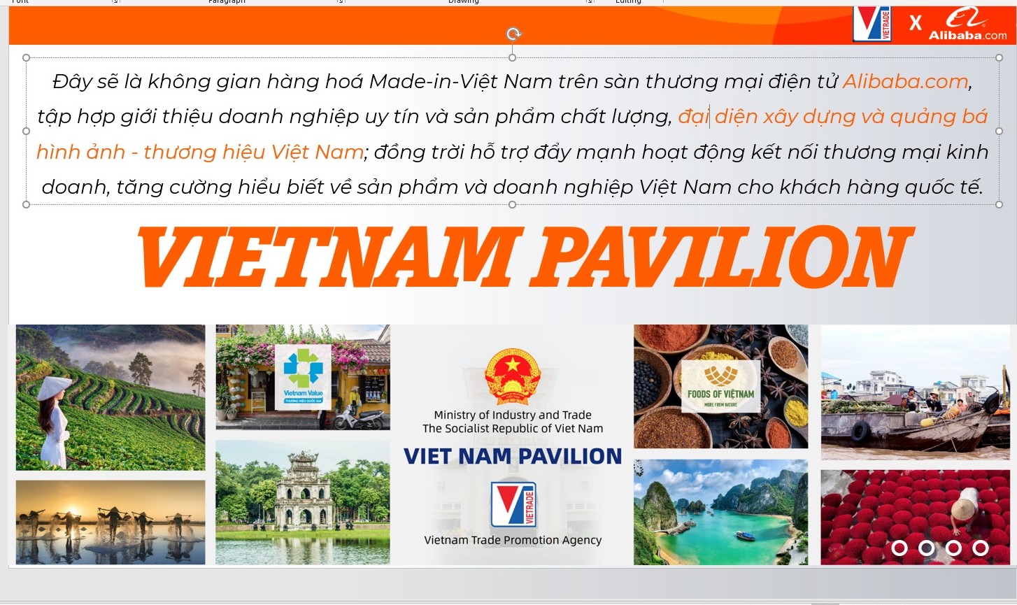 Ngành hàng nào được ưu tiên trên gian hàng quốc gia Việt Nam tại Alibaba.com? - Ảnh 2.