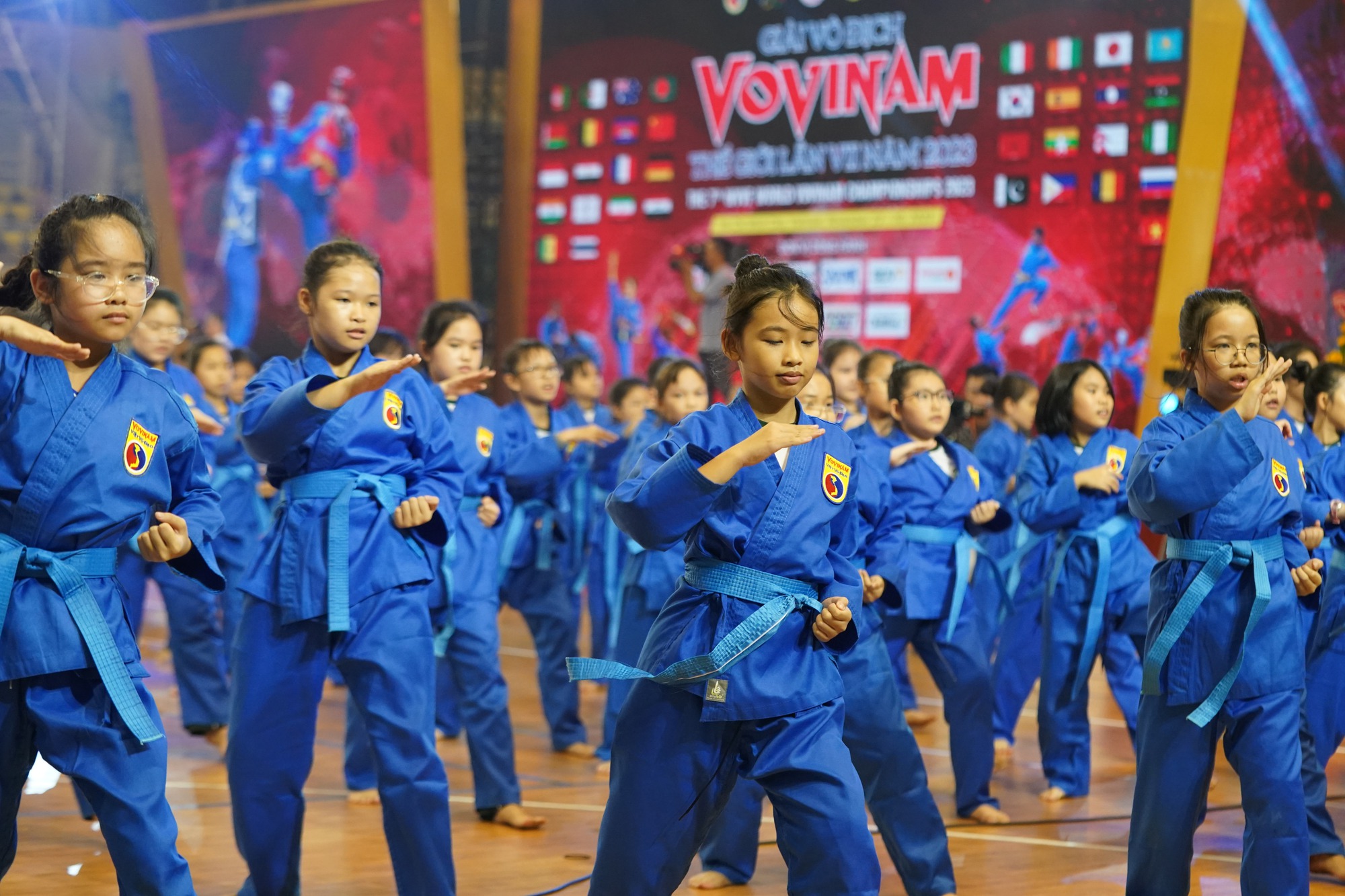 CLIP: Những màn biểu diễn ấn tượng trong lễ khai mạc Giải Vovinam thế giới lần 7-2023 - Ảnh 10.