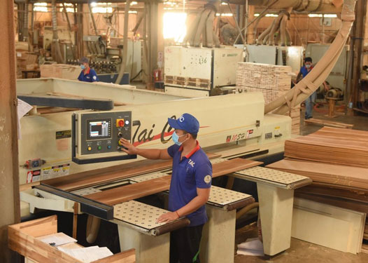 Dù gặp khó, các doanh nghiệp chế biến gỗ cao su vẫn chăm lo tốt cho người lao động