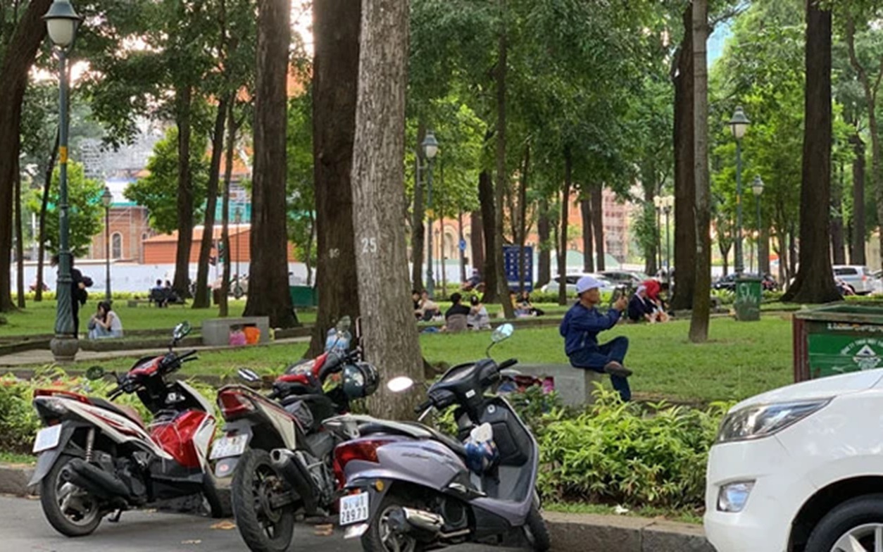 Phủ thêm mảng xanh cho TP HCM