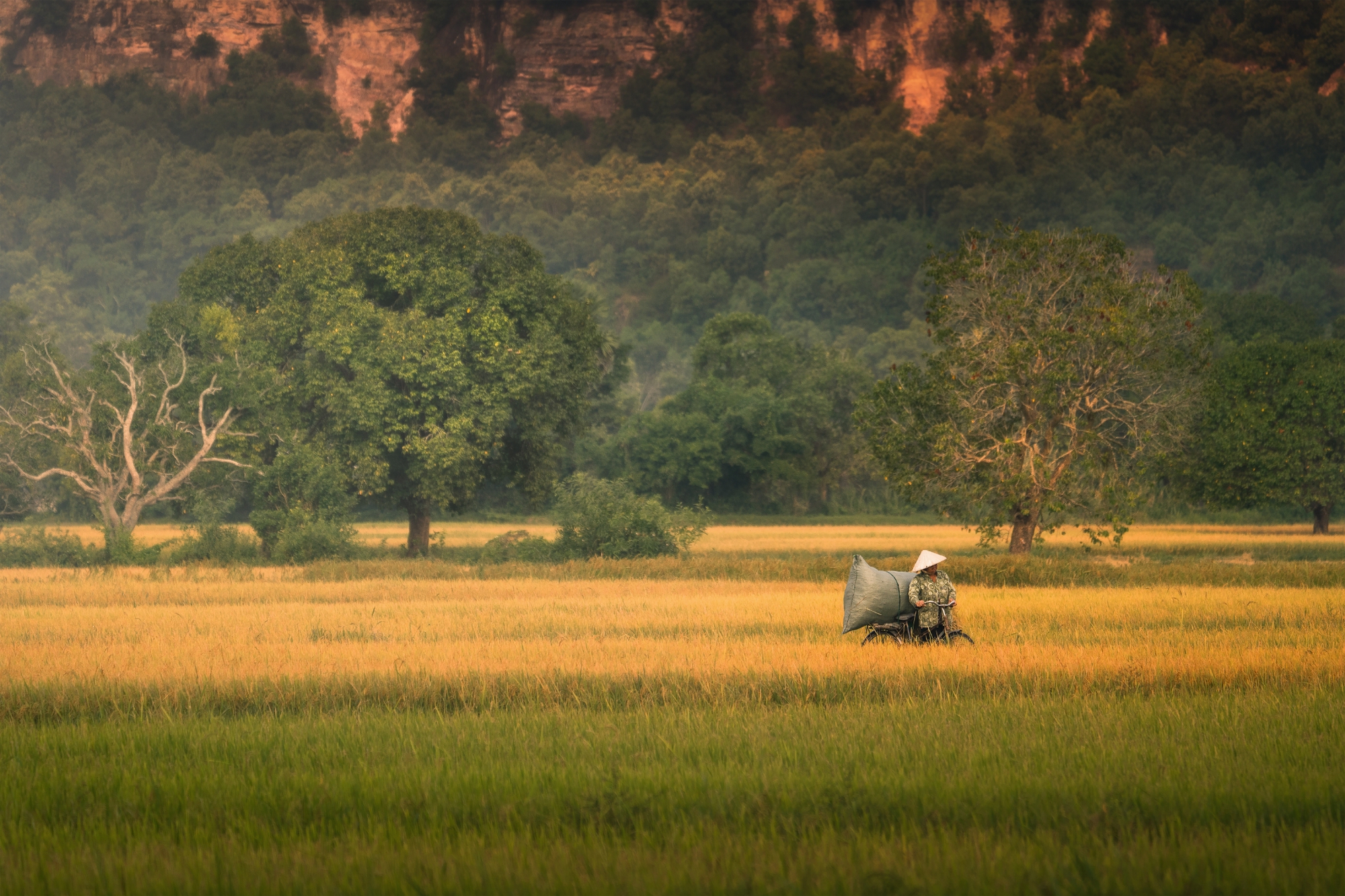 Sắc màu Tà Pạ- Ảnh 8.