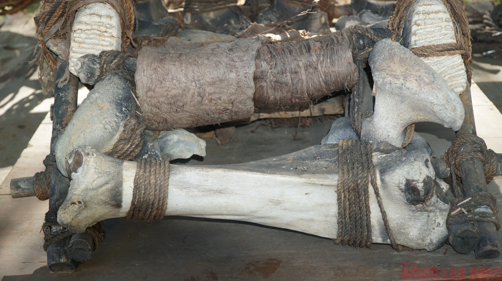 Gia Lai: Chiếc ghế xương voi trắng "độc nhất vô nhị" niên đại 700 năm- Ảnh 3.