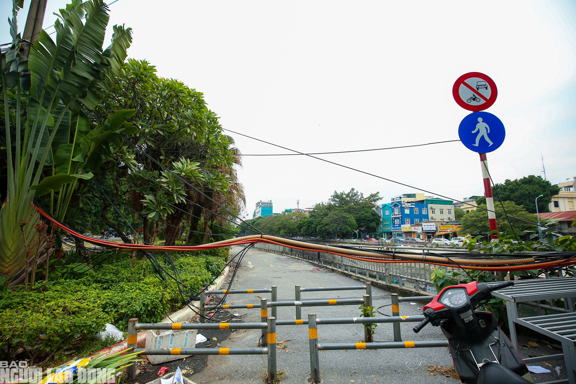 VIDEO: Hiện trạng 2 tuyến đường được đầu tư gần 10 tỉ dành cho xe đạp- Ảnh 4.