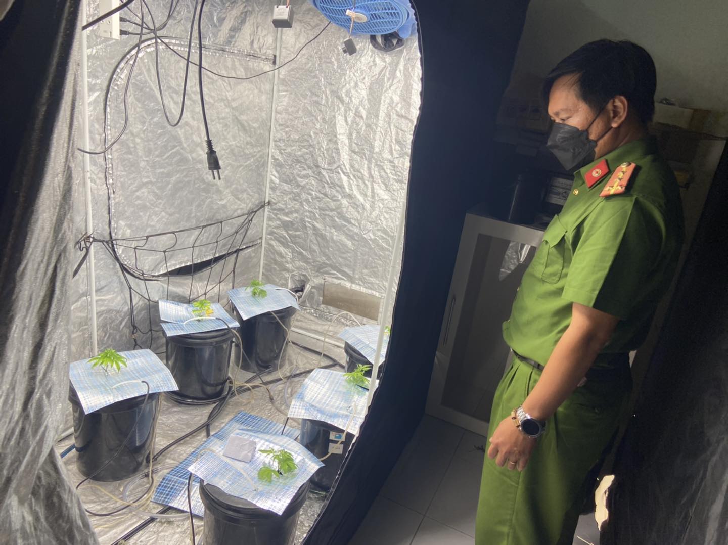 Bí mật bên trên tầng lầu của cặp nam nữ ngoại quốc - Ảnh 3. Bí mật bên trên tầng lầu của cặp nam nữ ngoại quốc - Ảnh 3.