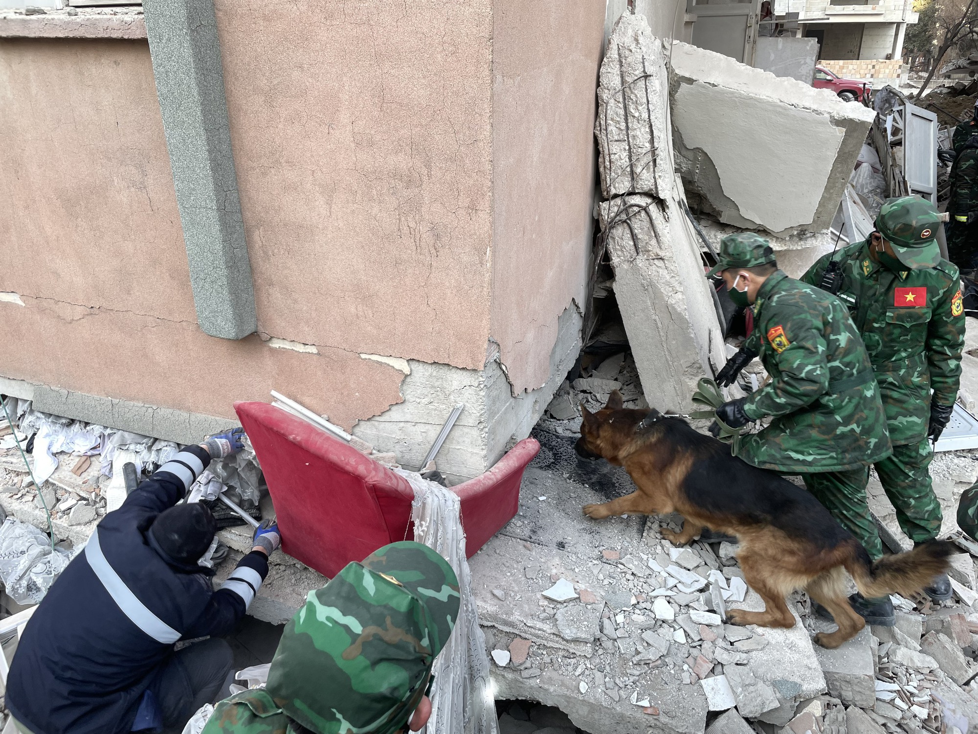 Chó nghiệp vụ giúp tìm kiếm nạn nhân trong đống đổ nát ở Thổ Nhĩ Kỳ - Ảnh 4. Chó nghiệp vụ giúp tìm kiếm nạn nhân trong đống đổ nát ở Thổ Nhĩ Kỳ - Ảnh 4.