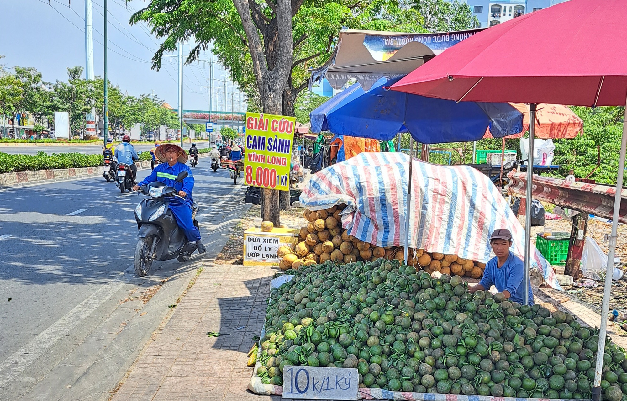 Giải cứu cam sành khắp các ngả đường TP HCM - Ảnh 5.