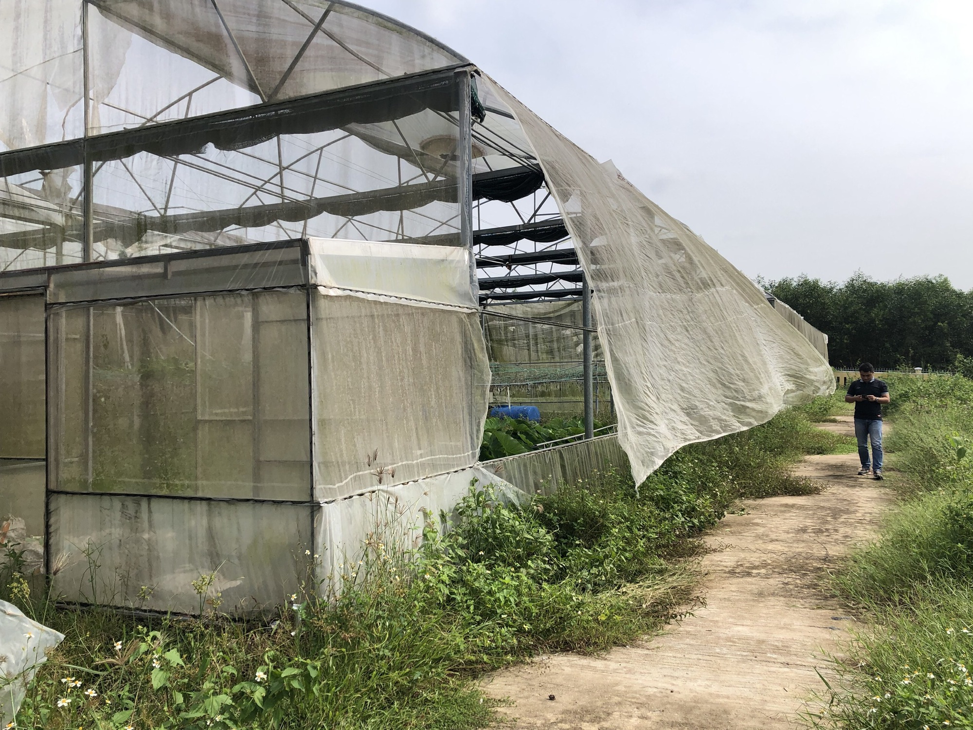 Một giám đốc sở Quảng Ngãi bị tố cáo 8 nội dung  - Ảnh 1.