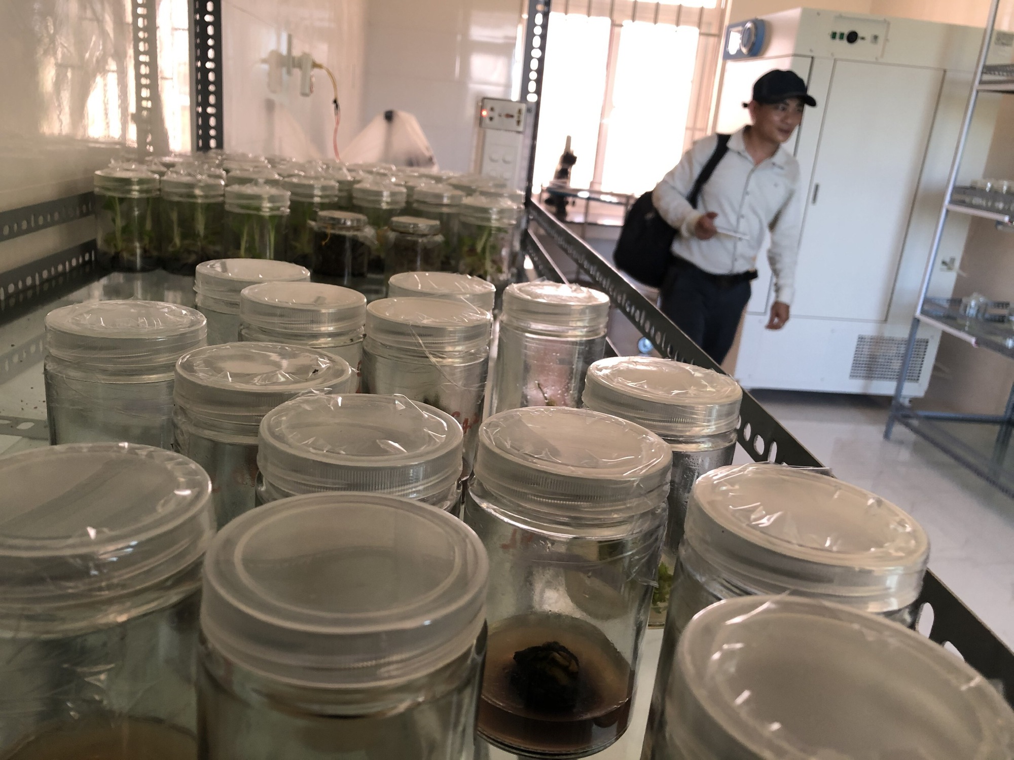 Một giám đốc sở Quảng Ngãi bị tố cáo 8 nội dung  - Ảnh 2.