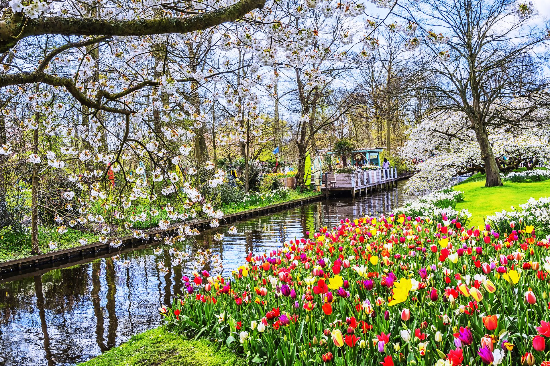 Vietravel “bùng nổ” lượng khách du lịch đến châu Âu thưởng lãm nét đẹp mùa xuân - Ảnh 2.
