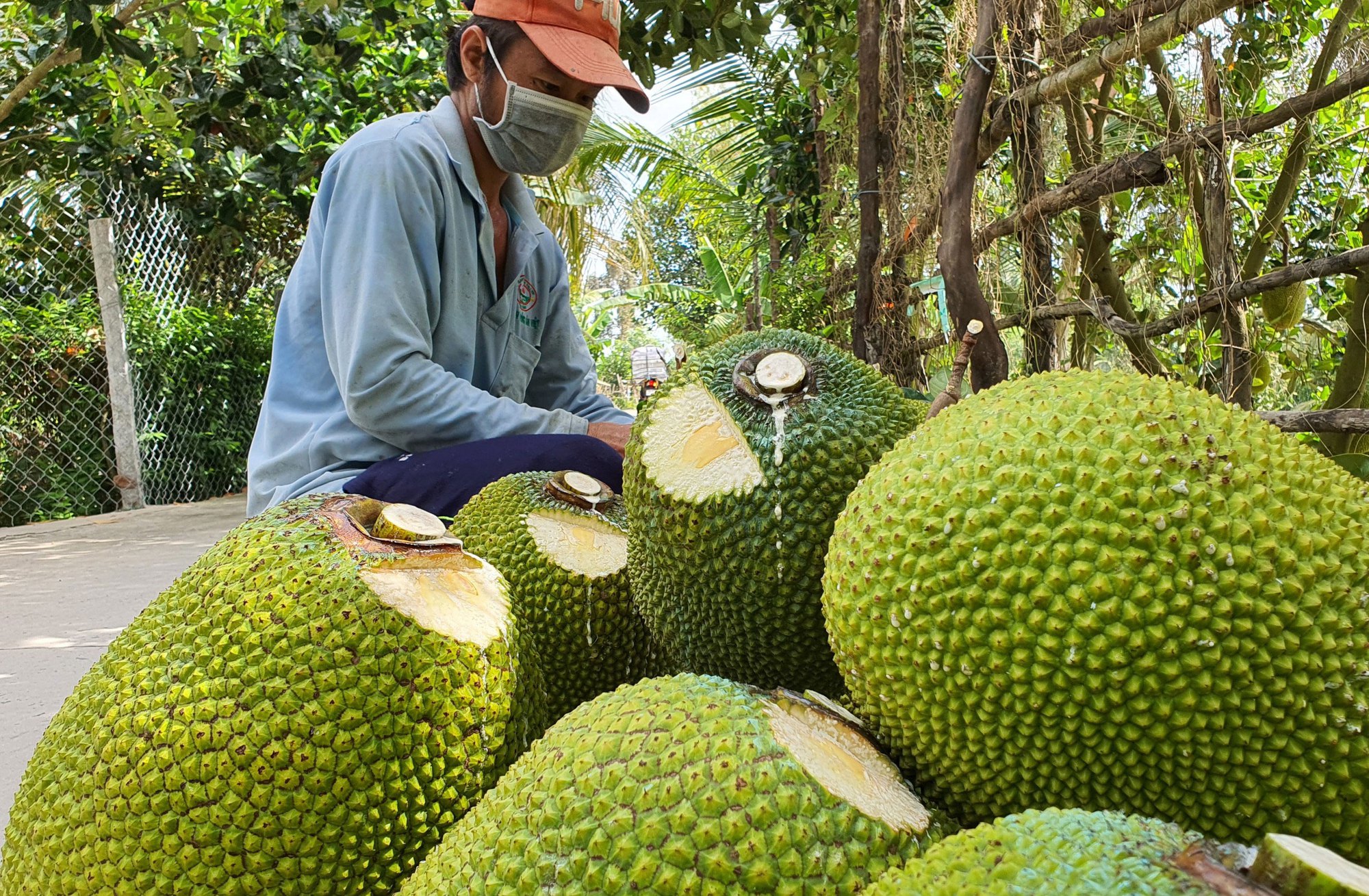 Nhiều loại nông - thủy sản được giá - Ảnh 1.