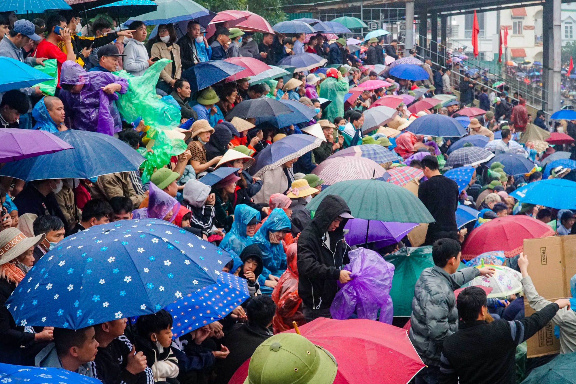 Hàng ngàn người đội mưa xem các ông cầu thi đấu - Ảnh 2.