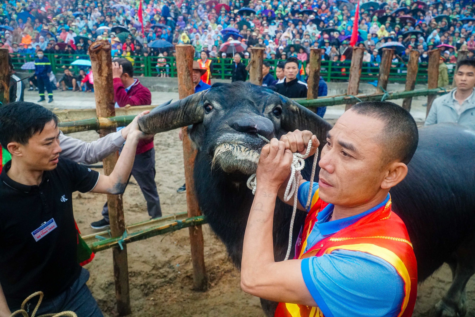 Hàng ngàn người đội mưa xem các ông cầu thi đấu - Ảnh 5.