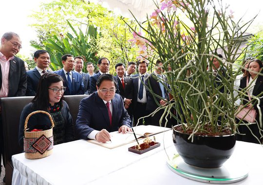 Singapore đặt tên loài hoa lan mới theo tên Thủ tướng Phạm Minh Chính và Phu nhân - Ảnh 2.