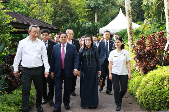 Singapore đặt tên loài hoa lan mới theo tên Thủ tướng Phạm Minh Chính và Phu nhân - Ảnh 1.