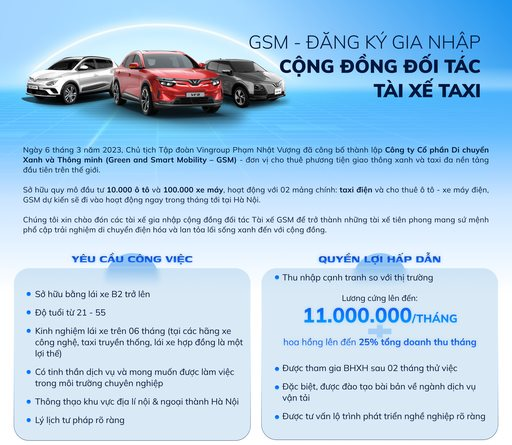 Công Ty Taxi Điện Của Ông Phạm Nhật Vượng Ồ Ạt Tuyển Tài Xế - Báo Người Lao  Động
