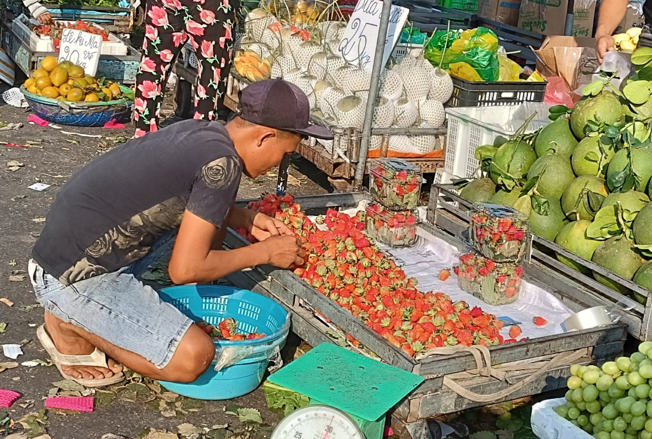 Bà nội trợ TP HCM choáng ngợp với dâu tây gắn mác Đà Lạt, Sơn La tràn ngập đường phố - Ảnh 9.